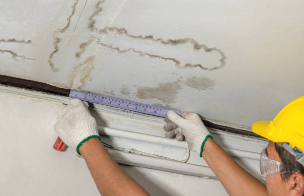 Affordable Water Damage Repair solutions in Brilliant, AL